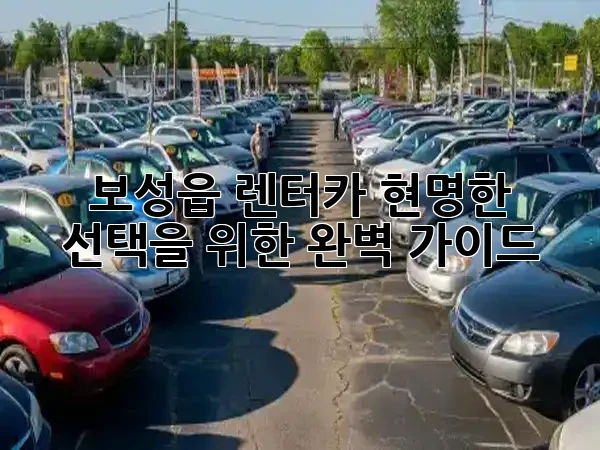 보성읍 렌터카, 현명한 선택을 위한 완벽 가이드 🗺️