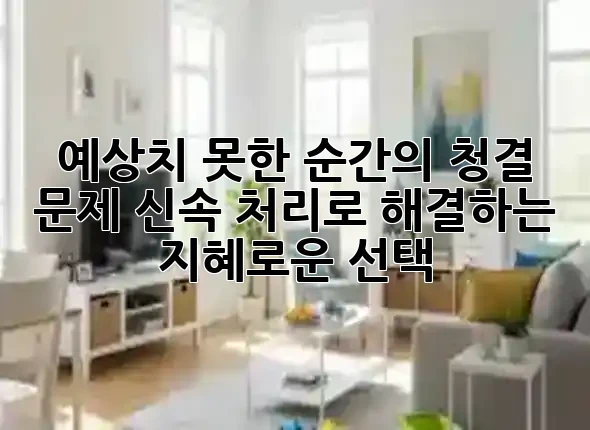 예상치 못한 순간의 청결 문제, 신속 처리로 해결하는 지혜로운 선택! 💡